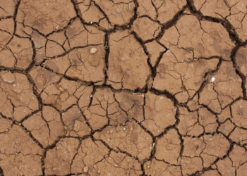 tierra seca